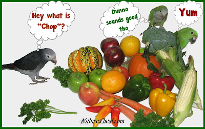 Learn About Parrot Chop