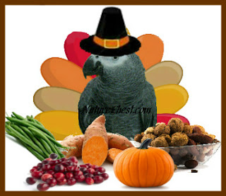 Thanksgiving healthy Tips for Birds