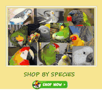 Shop bird products by species