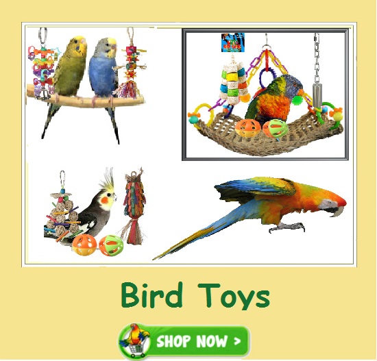 Shop Bird Toys