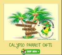 Shop Parrot Gifts