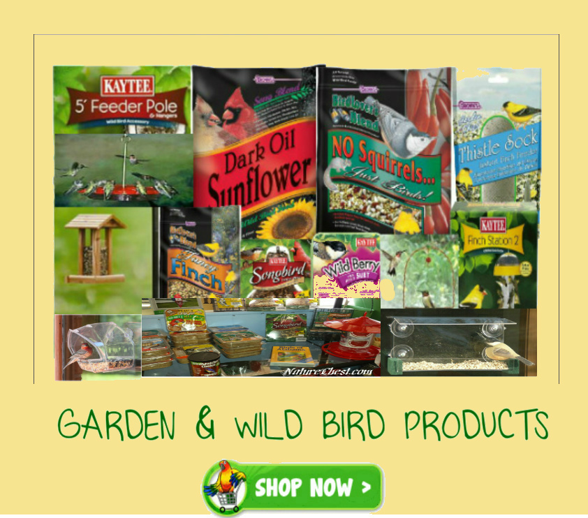 Shop Wild Bird and Garden